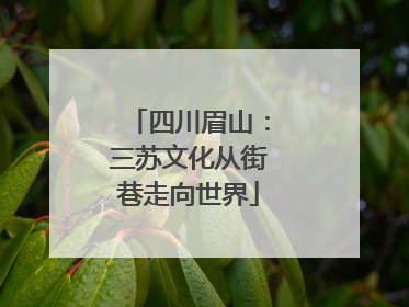 四川眉山：三苏文化从街巷走向世界