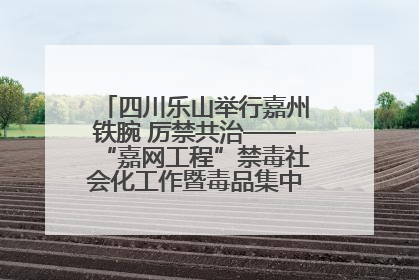 四川乐山举行嘉州铁腕 厉禁共治——“嘉网工程”禁毒社会化工作暨毒品集中销毁启动仪式