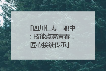四川仁寿二职中：技能点亮青春，匠心接续传承