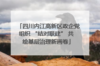 四川内江高新区政企党组织 “结对联建” 共绘基层治理新画卷