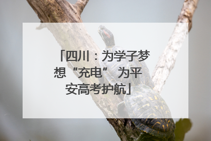 四川：为学子梦想“充电” 为平安高考护航