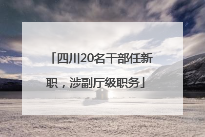 四川20名干部任新职，涉副厅级职务