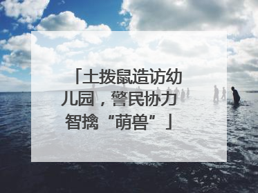 土拨鼠造访幼儿园，警民协力智擒“萌兽”