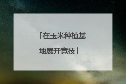 在玉米种植基地展开竞技