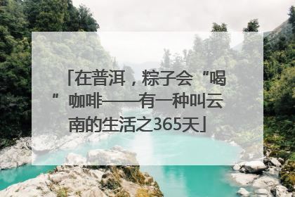 在普洱，粽子会“喝”咖啡——有一种叫云南的生活之365天