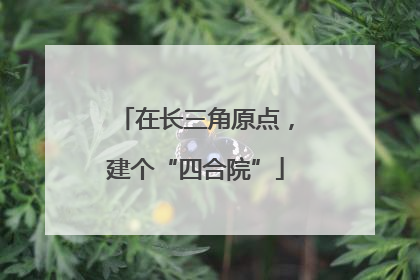 在长三角原点，建个“四合院”