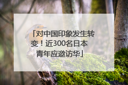 对中国印象发生转变！近300名日本青年应邀访华