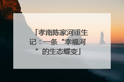 孝南陈家河重生记：一条“幸福河”的生态蝶变