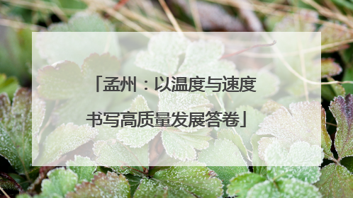 孟州：以温度与速度书写高质量发展答卷