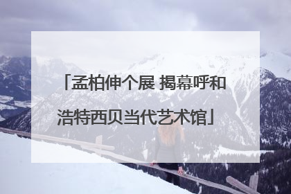 孟柏伸个展 揭幕呼和浩特西贝当代艺术馆