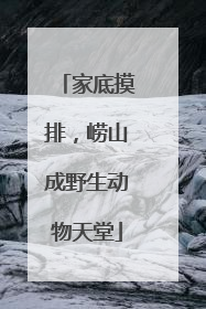 家底摸排，崂山成野生动物天堂