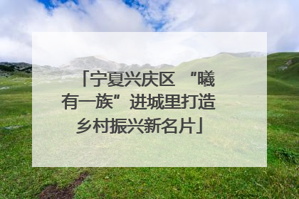 宁夏兴庆区 “曦有一族”进城里打造乡村振兴新名片
