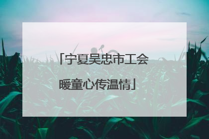 宁夏吴忠市工会暖童心传温情