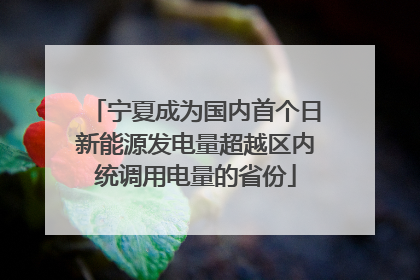 宁夏成为国内首个日新能源发电量超越区内统调用电量的省份