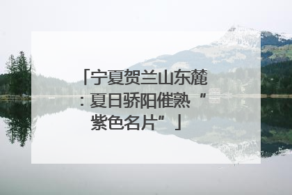 宁夏贺兰山东麓：夏日骄阳催熟“紫色名片”