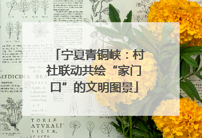 宁夏青铜峡：村社联动共绘“家门口”的文明图景