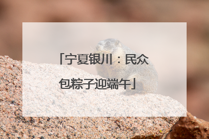 宁夏银川：民众包粽子迎端午