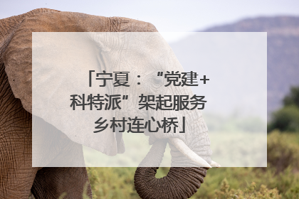 宁夏：“党建+科特派”架起服务乡村连心桥