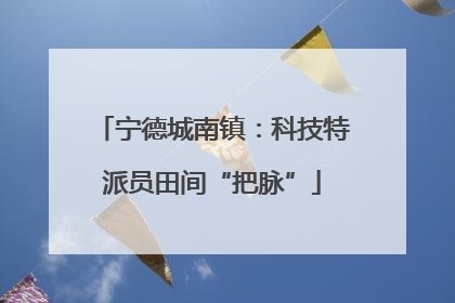 宁德城南镇：科技特派员田间“把脉”
