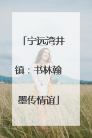 宁远湾井镇：书林翰墨传情谊