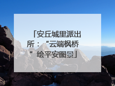 安丘城里派出所：“云端枫桥”绘平安图景