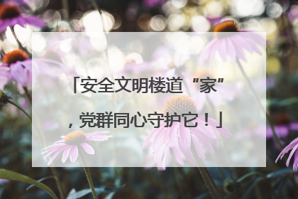 安全文明楼道“家”，党群同心守护它！
