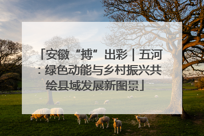 安徽“搏”出彩｜五河：绿色动能与乡村振兴共绘县域发展新图景