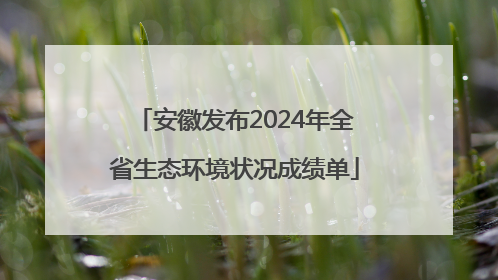 安徽发布2024年全省生态环境状况成绩单
