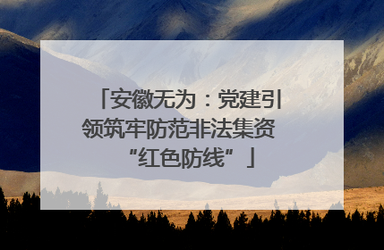 安徽无为：党建引领筑牢防范非法集资“红色防线”