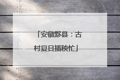 安徽黟县：古村夏日插秧忙