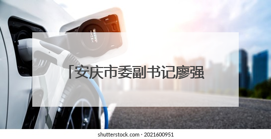 安庆市委副书记廖强出任宿松县委书记