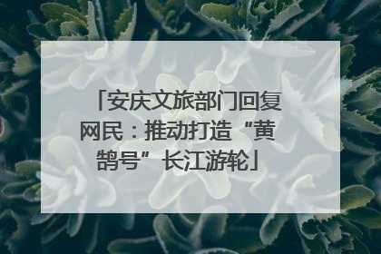 安庆文旅部门回复网民：推动打造“黄鹄号”长江游轮