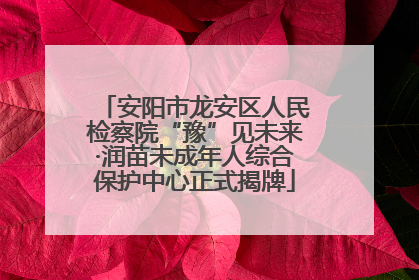 安阳市龙安区人民检察院“豫”见未来·润苗未成年人综合保护中心正式揭牌