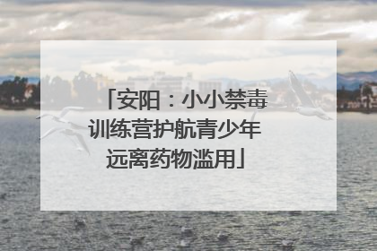 安阳：小小禁毒训练营护航青少年远离药物滥用