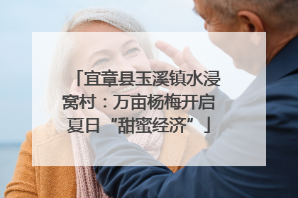 宜章县玉溪镇水浸窝村：万亩杨梅开启夏日“甜蜜经济”
