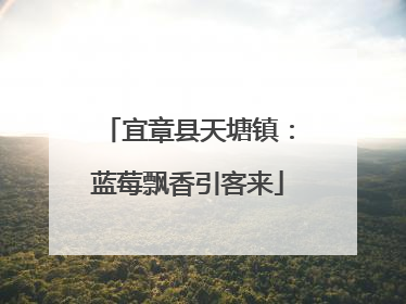 宜章县天塘镇：蓝莓飘香引客来