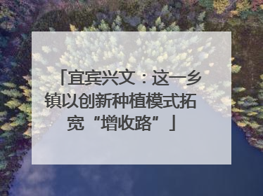 宜宾兴文：这一乡镇以创新种植模式拓宽“增收路”