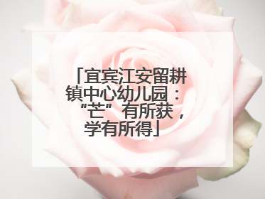 宜宾江安留耕镇中心幼儿园：“芒”有所获，学有所得