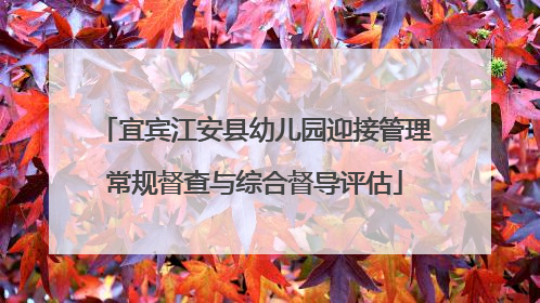 宜宾江安县幼儿园迎接管理常规督查与综合督导评估