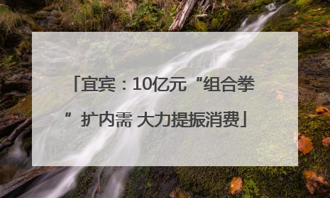 宜宾：10亿元“组合拳”扩内需 大力提振消费
