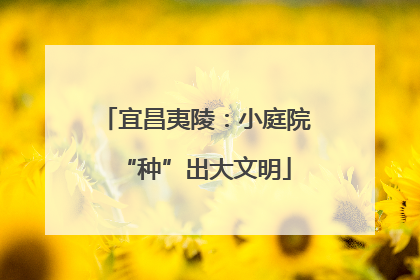 宜昌夷陵：小庭院“种”出大文明
