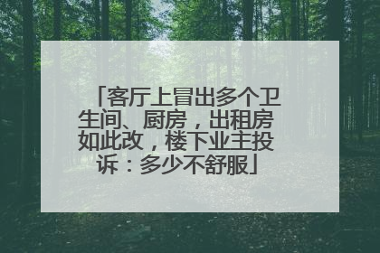 客厅上冒出多个卫生间、厨房，出租房如此改，楼下业主投诉：多少不舒服