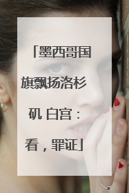 墨西哥国旗飘扬洛杉矶 白宫：看，罪证