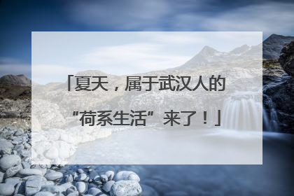 夏天，属于武汉人的“荷系生活”来了！