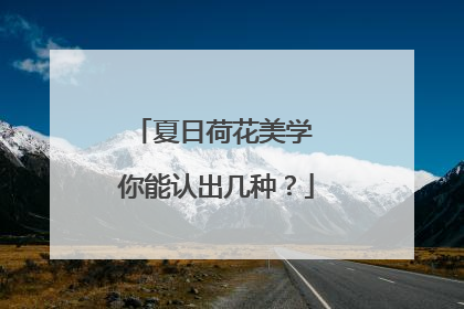 夏日荷花美学 你能认出几种？