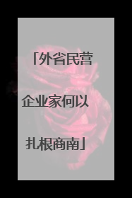 外省民营企业家何以扎根商南
