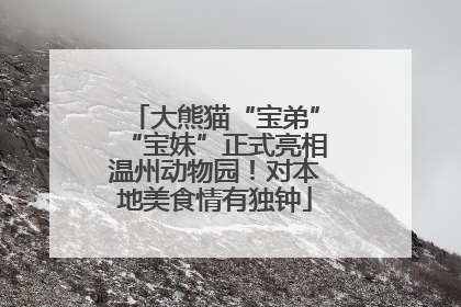 大熊猫“宝弟”“宝妹”正式亮相温州动物园！对本地美食情有独钟