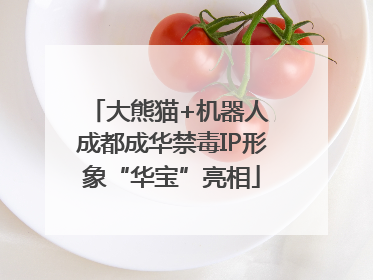 大熊猫+机器人 成都成华禁毒IP形象“华宝”亮相