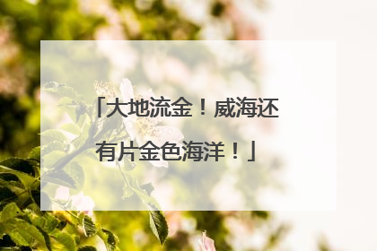 大地流金！威海还有片金色海洋！