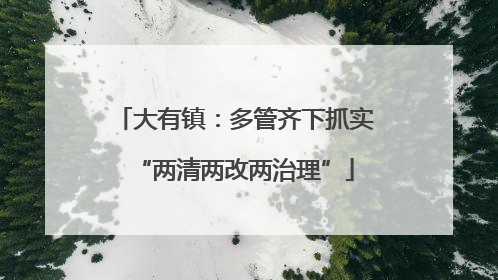 大有镇：多管齐下抓实“两清两改两治理”